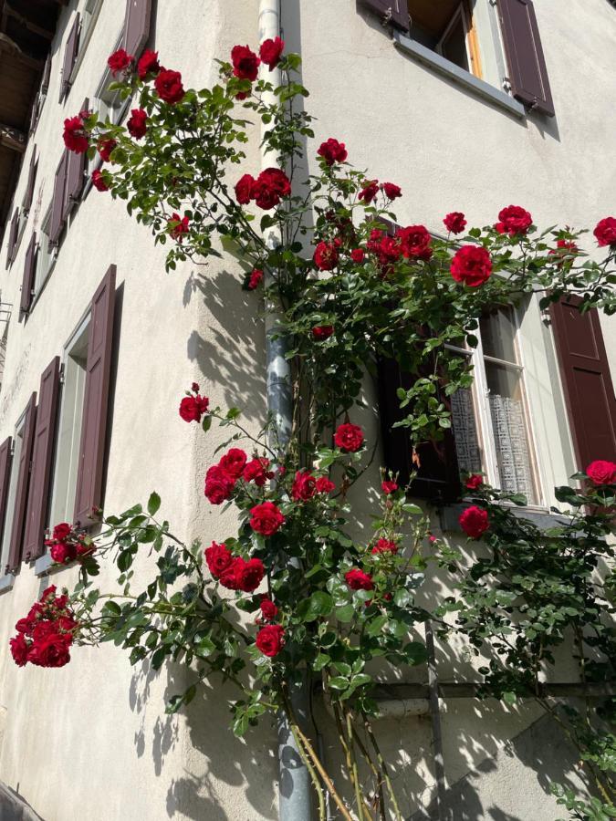Gasthaus Beverin Farden Exterior foto